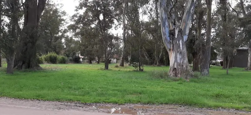 Terreno en la armonia ruta 2