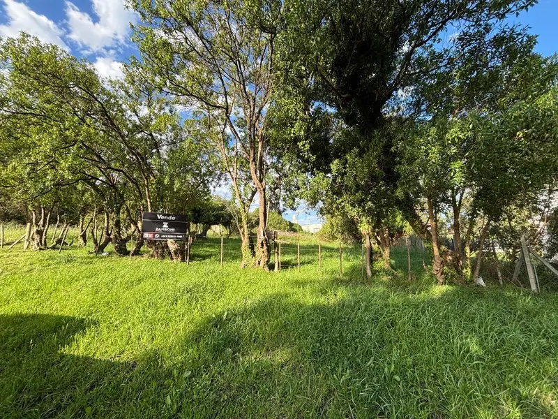 Terreno en venta Playa Chapadmalal