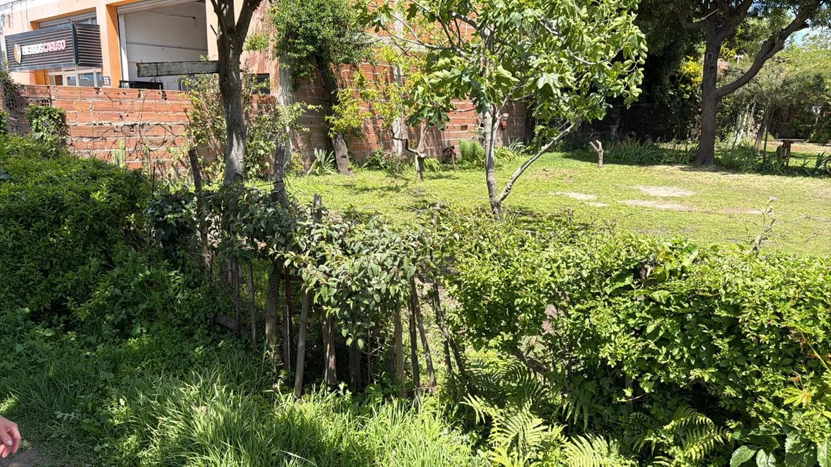 Terreno en venta sobre Av. Mario Bravo
